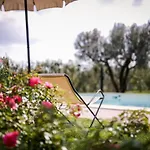 Holiday home Il Giardino Di Diana By Interhome Cortona